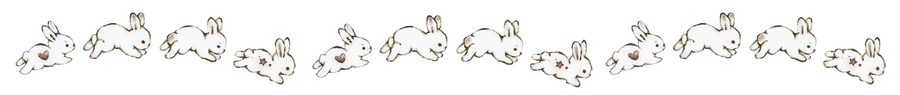 jumping bunny border